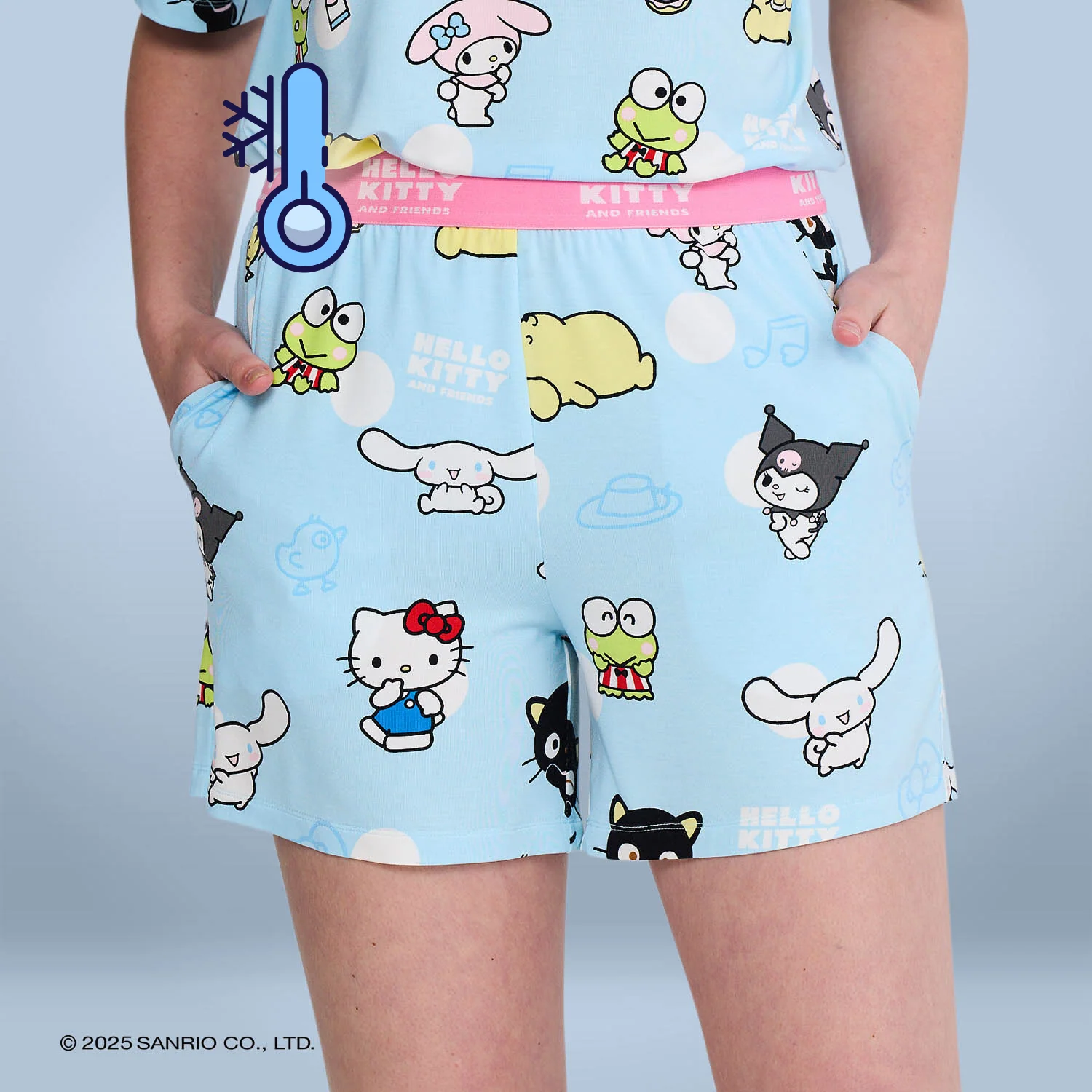 1054-hello-kitty-friends-1.webp Hello Kitty & Friends