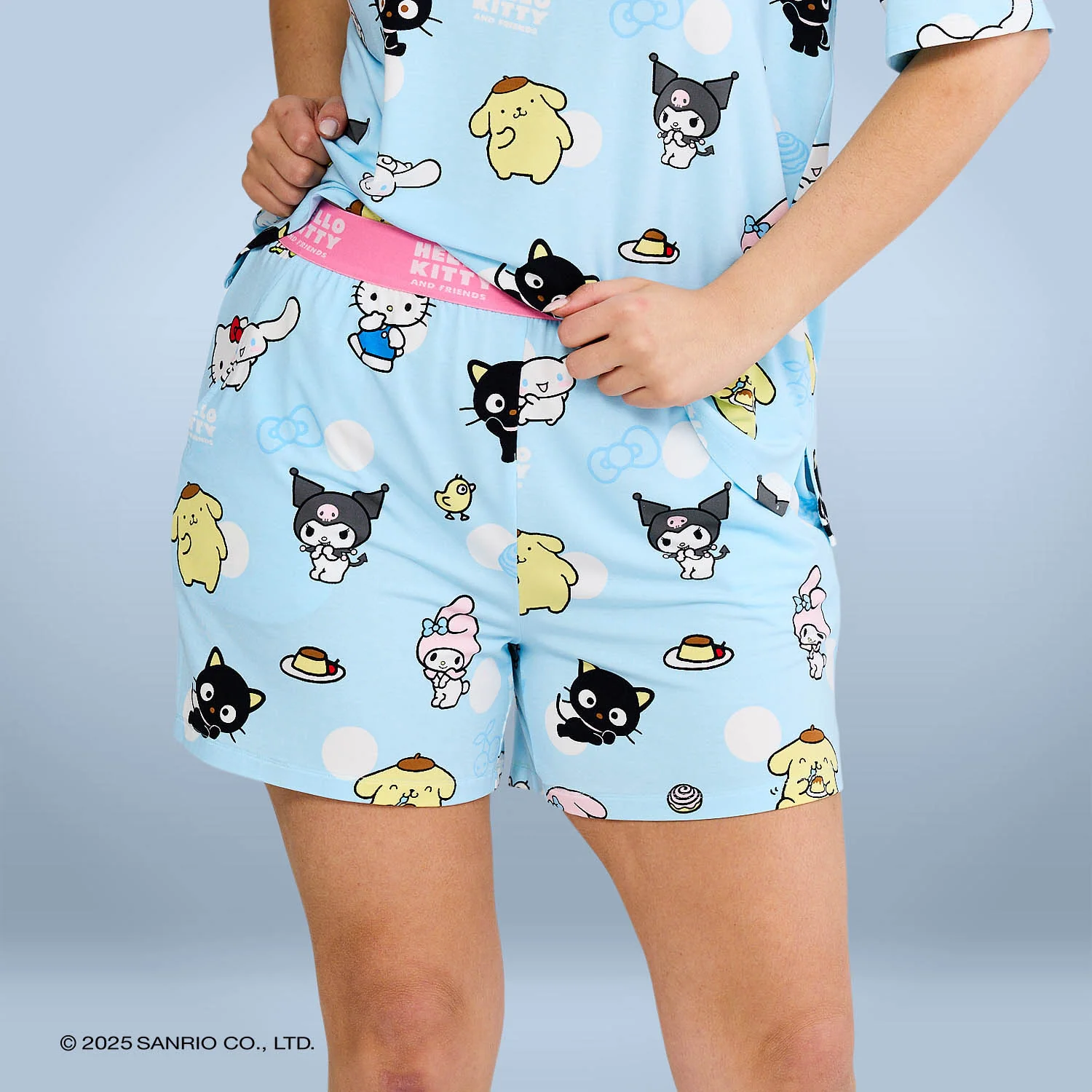 1054-hello-kitty-friends-3.webp Hello Kitty & Friends