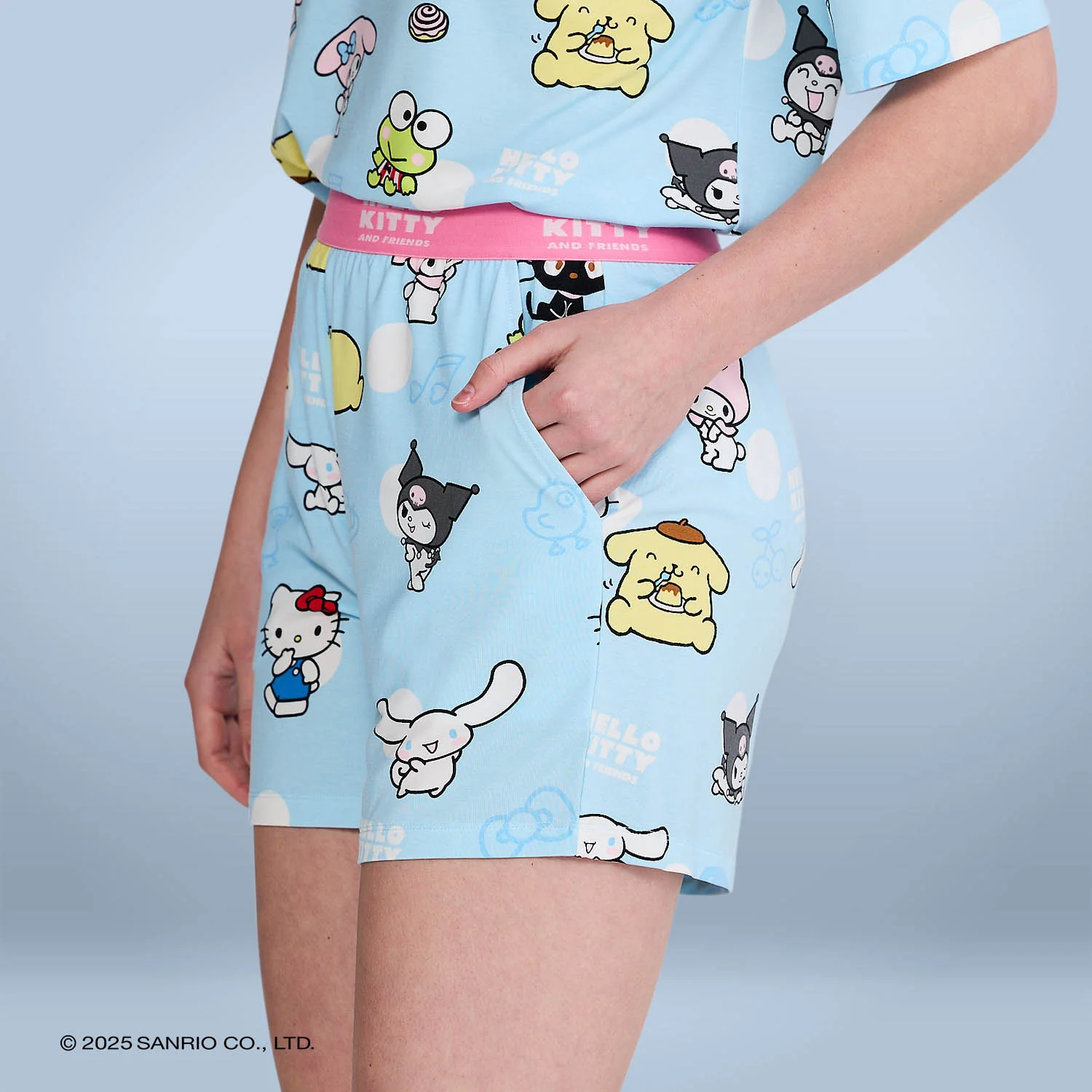 1054-hello-kitty-friends-5.webp Hello Kitty & Friends