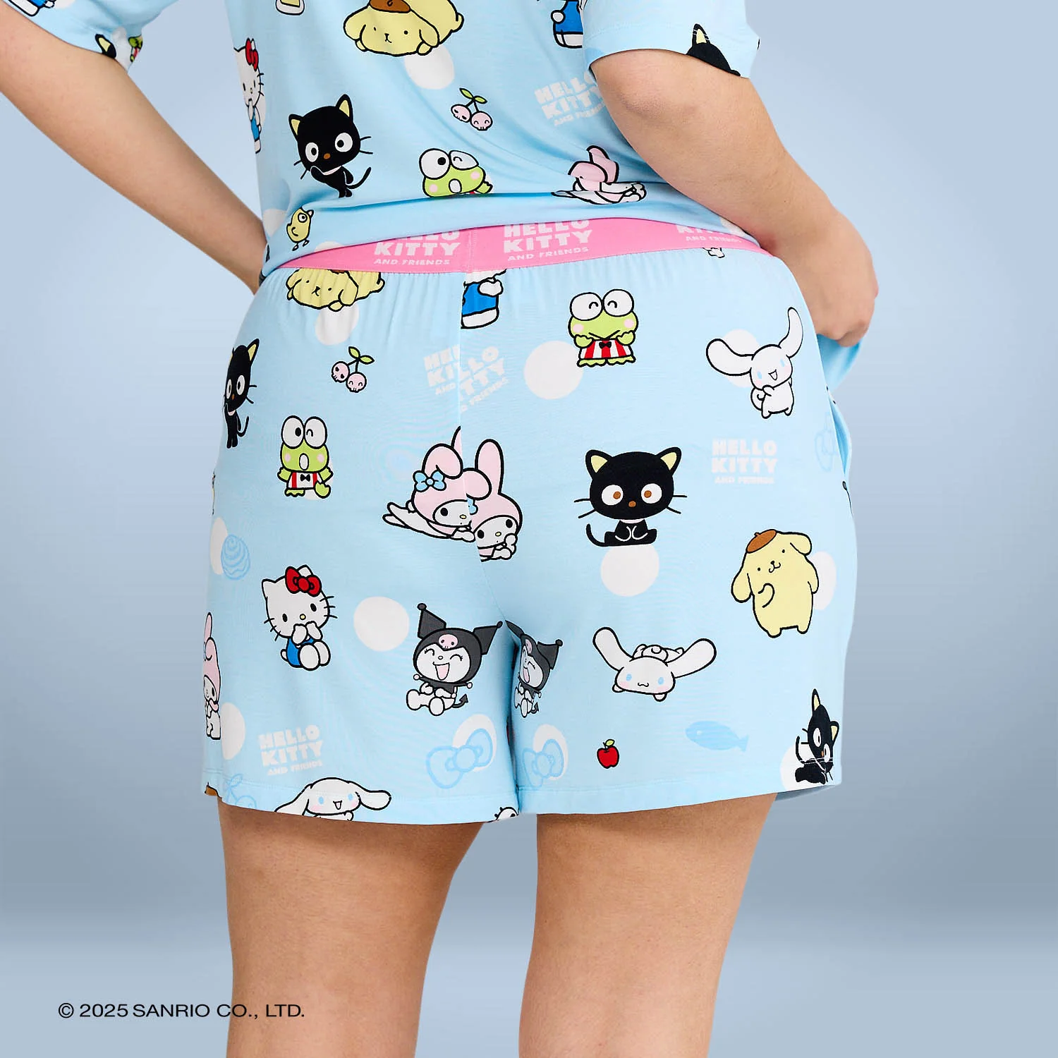 1054-hello-kitty-friends-7.webp Hello Kitty & Friends