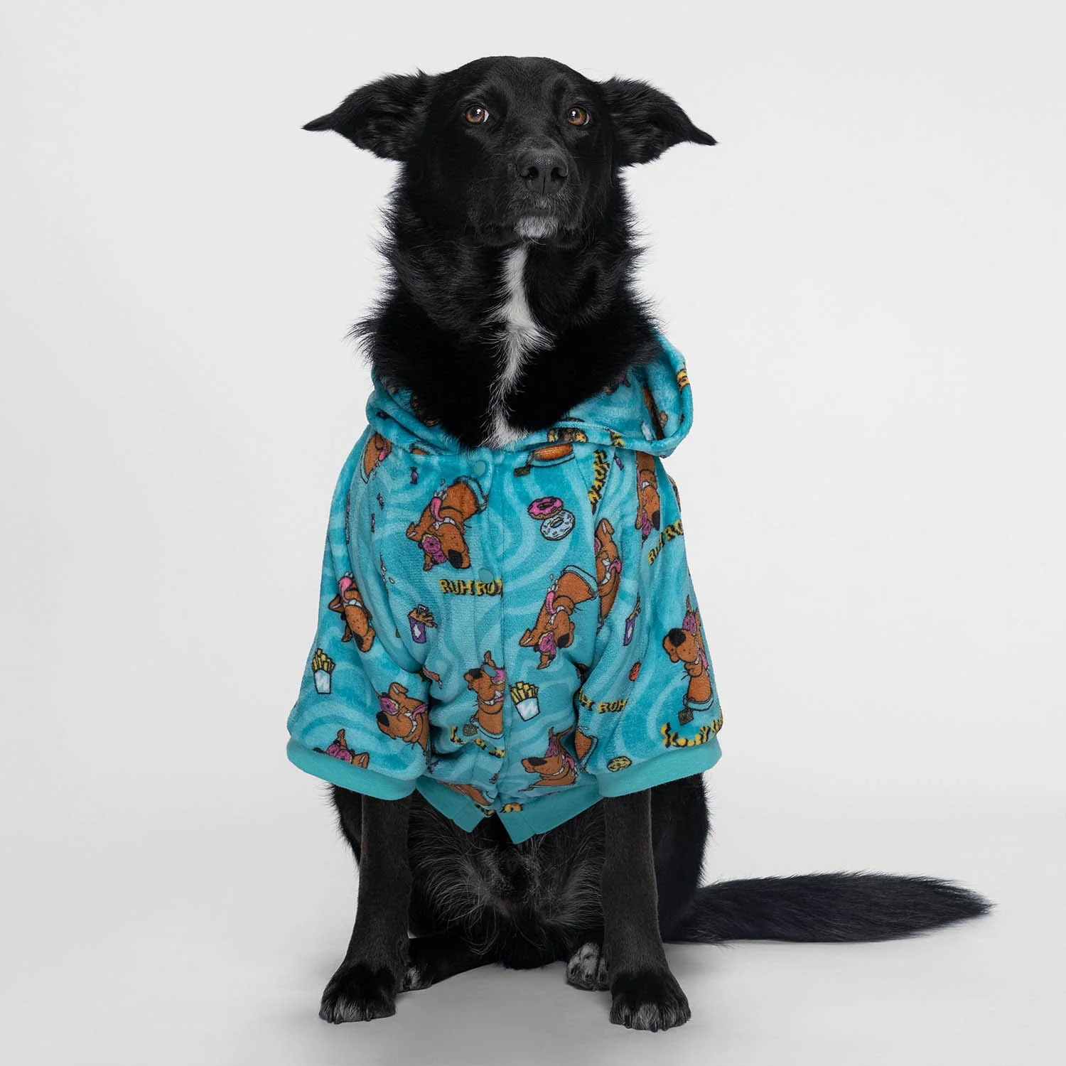 1673-scooby-doo-2.webp Scooby Doo