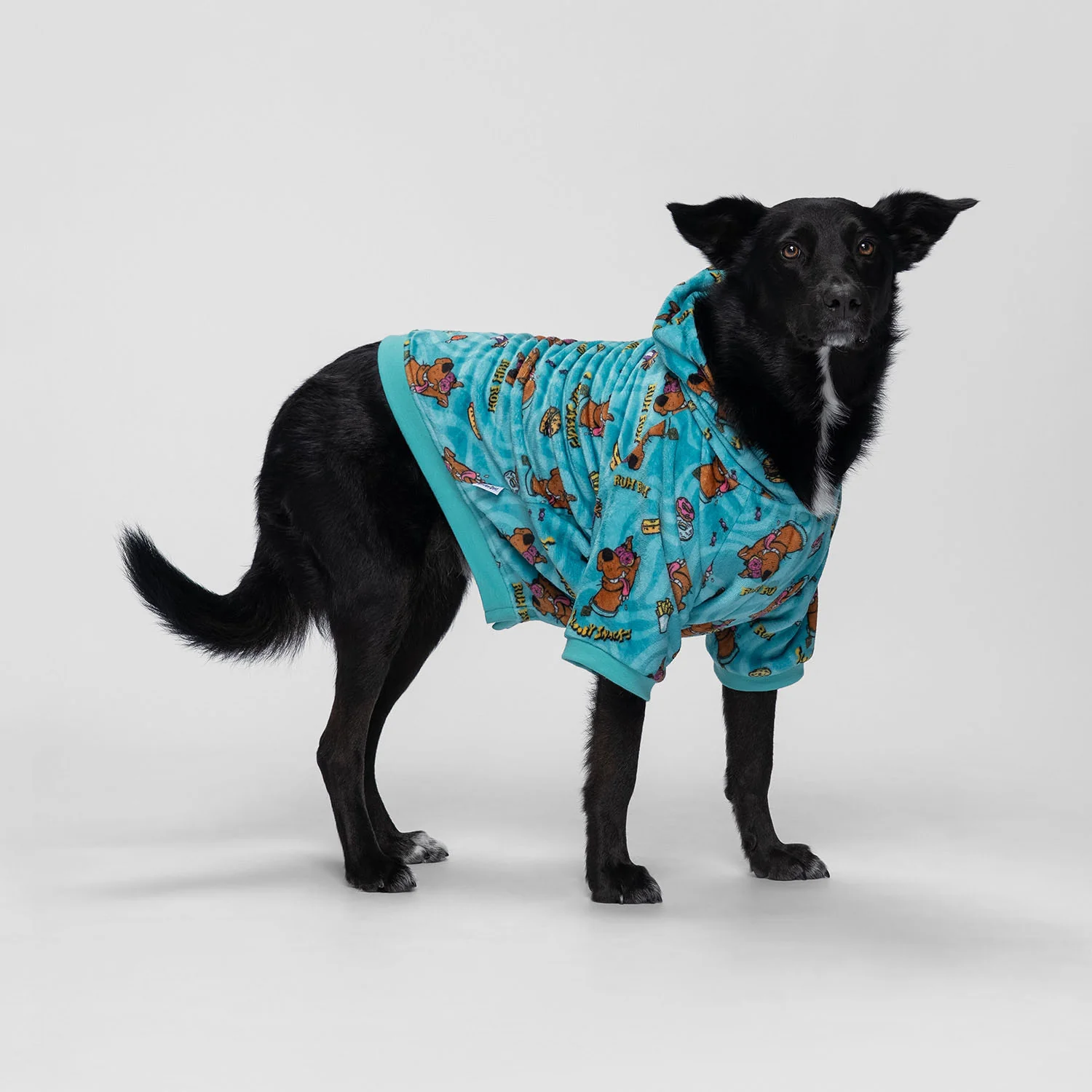 1673-scooby-doo-7.webp Scooby Doo