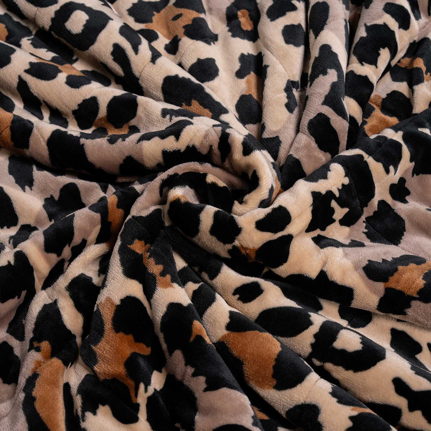 1765-leopard-6.jpg Leopard