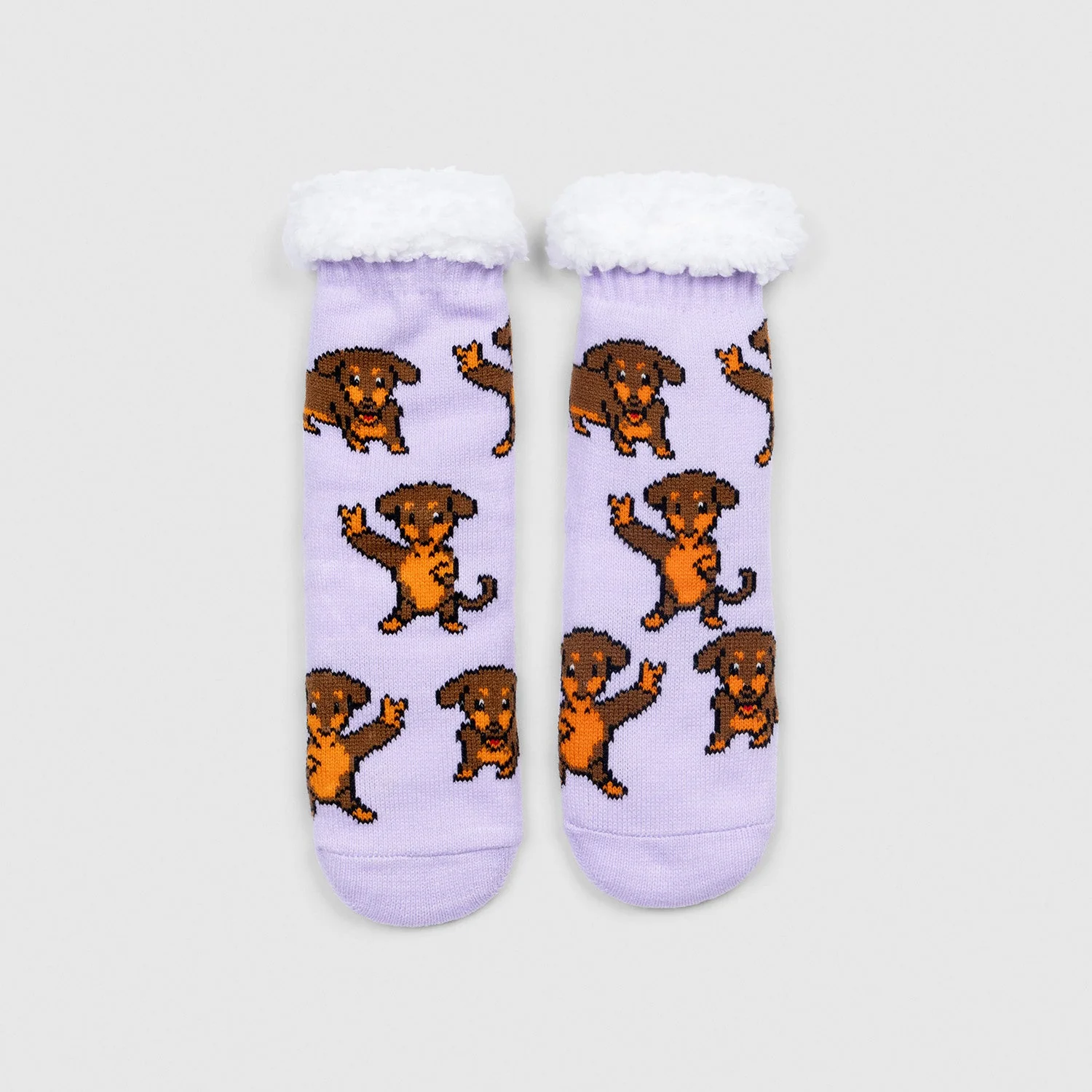 297-dachshund-4.webp Dachshund