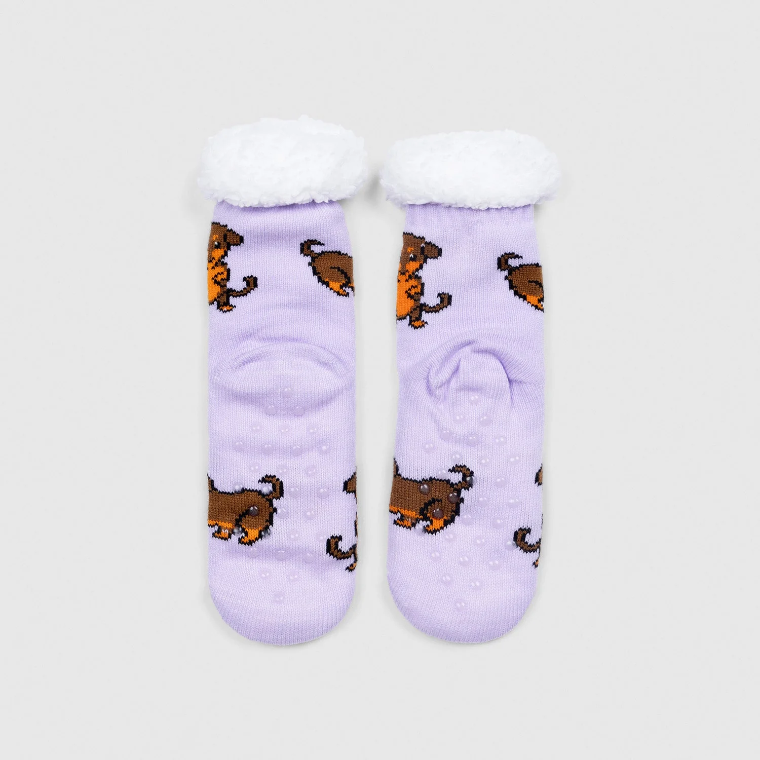 297-dachshund-5.webp Dachshund