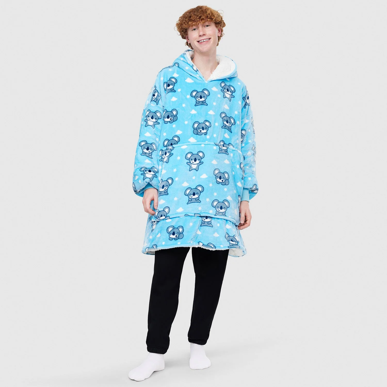 488-koala-3.webp Koala