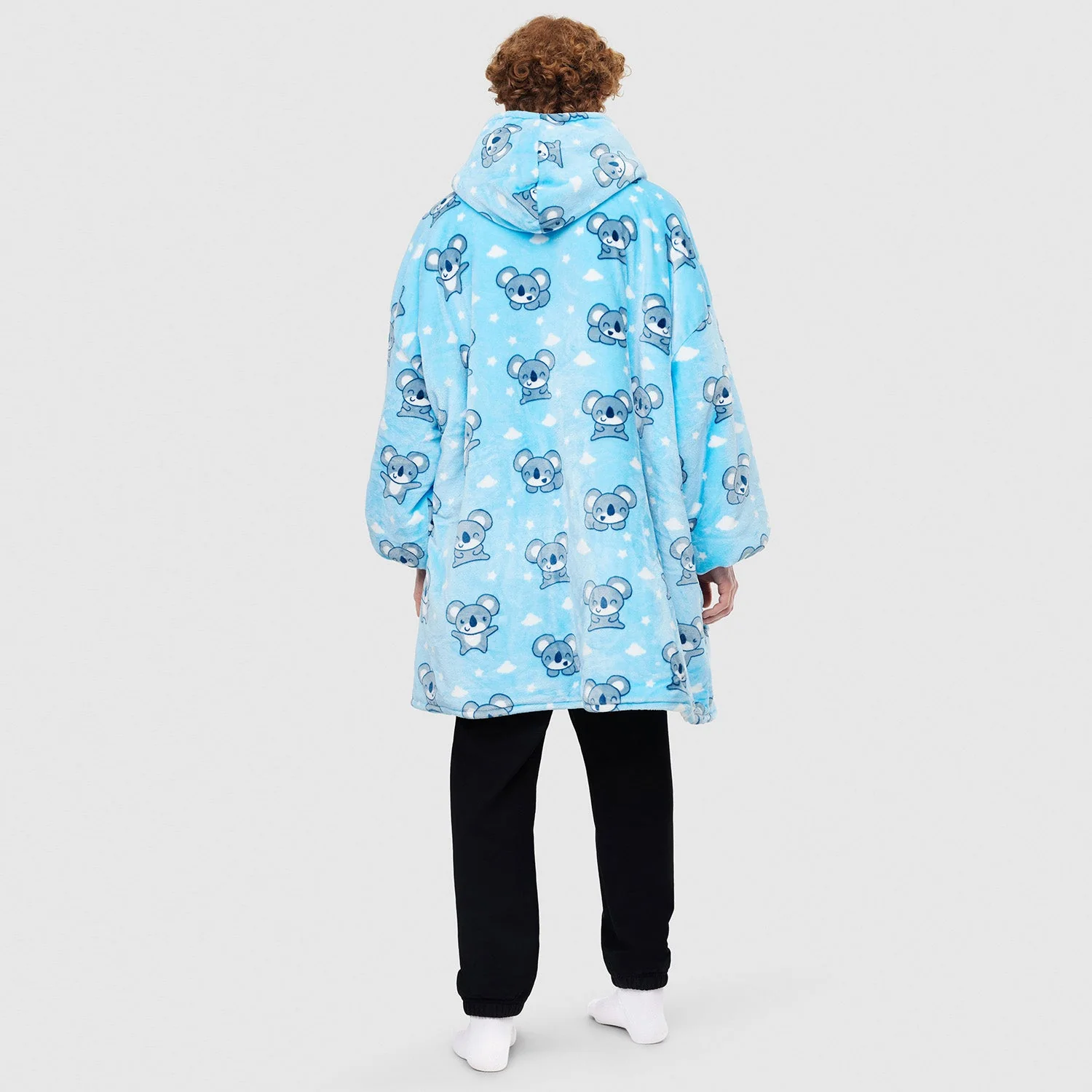488-koala-9.webp Koala