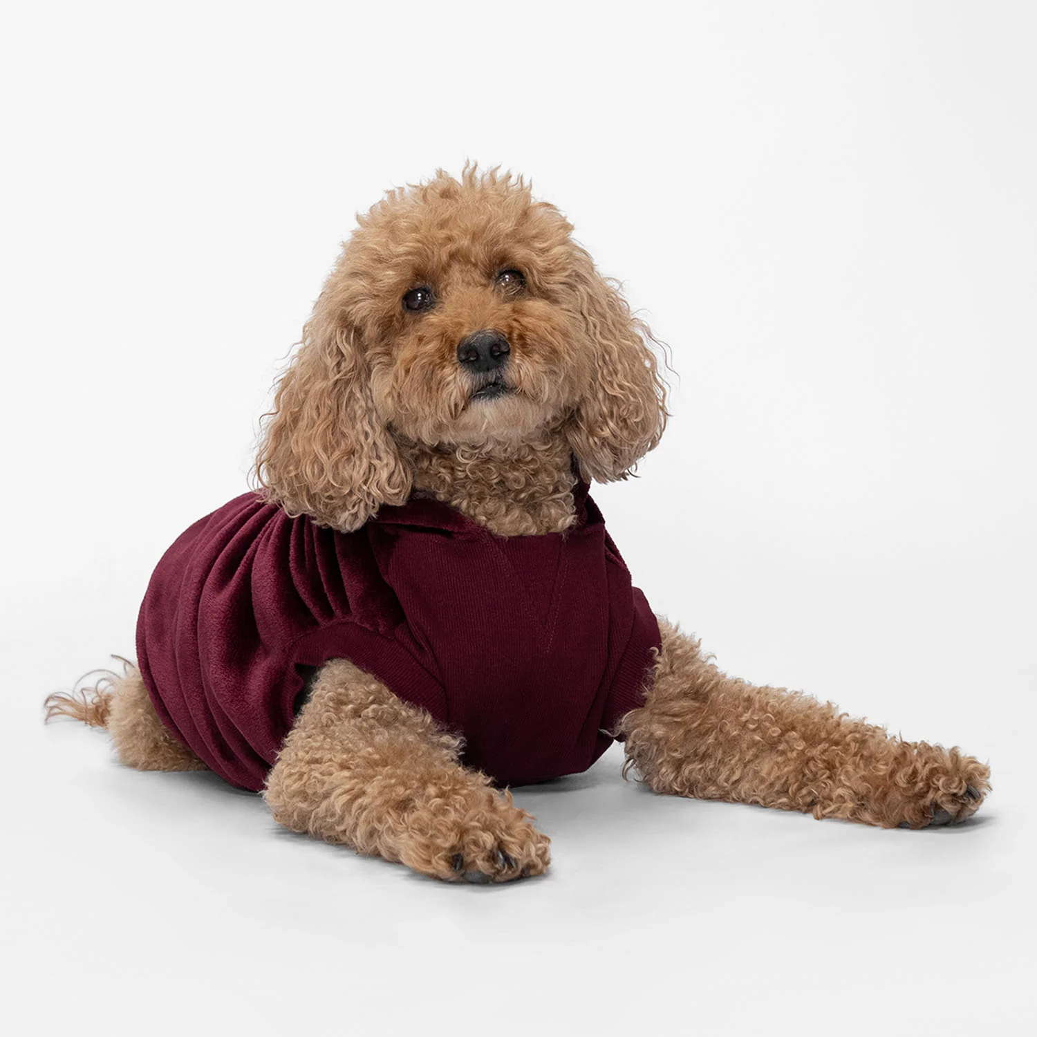 5-burgundy-1.webp Burgundy