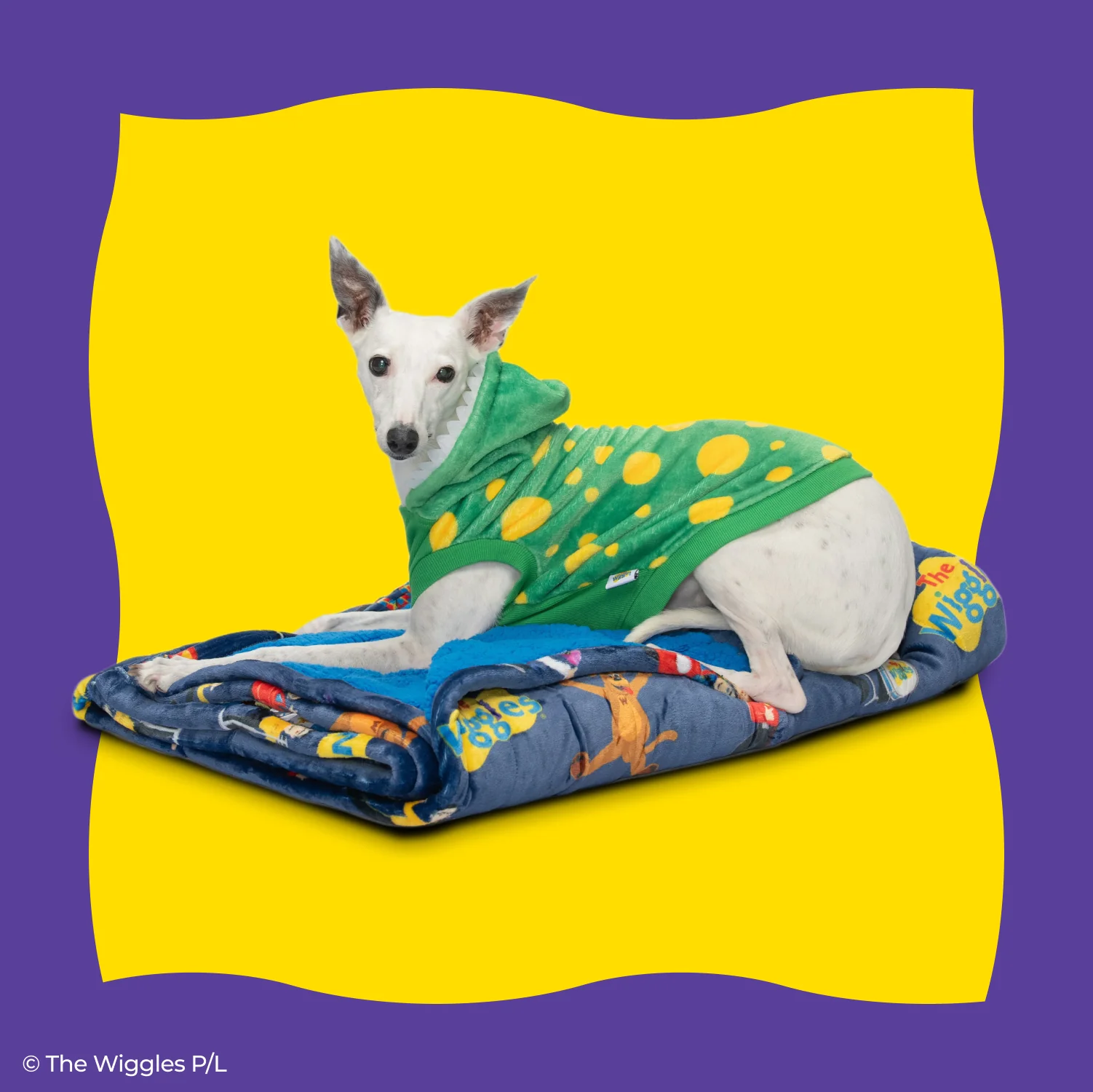 50-wiggles-1.webp Wiggles