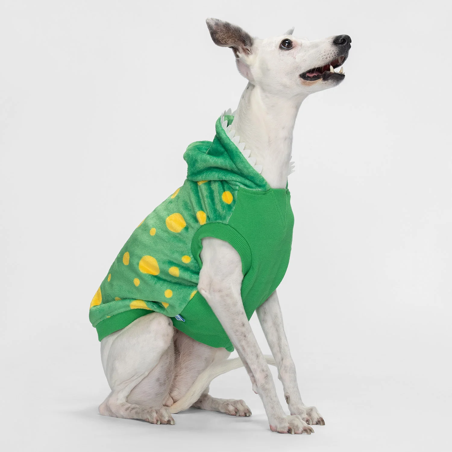 50-wiggles-2.webp Wiggles