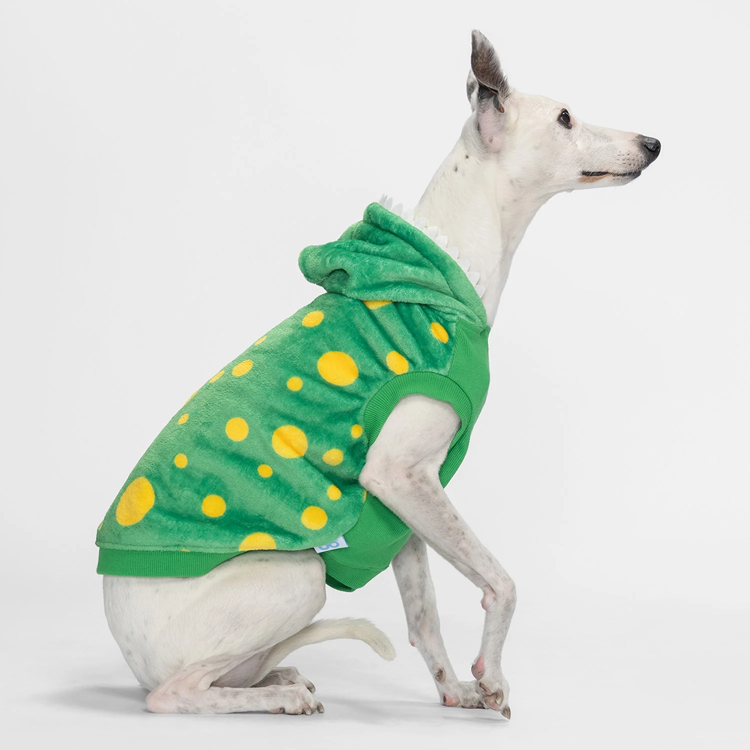 50-wiggles-3.webp Wiggles