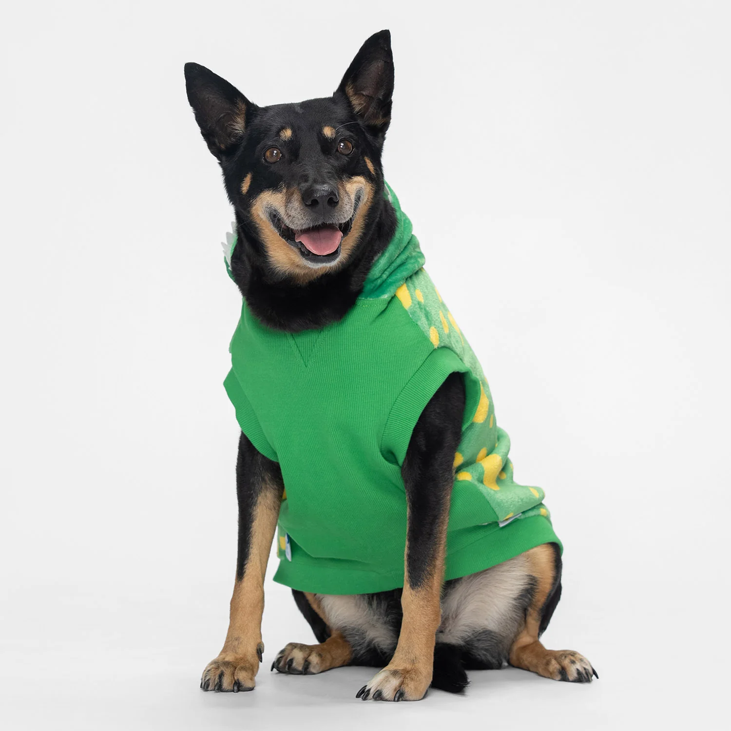 50-wiggles-4.webp Wiggles