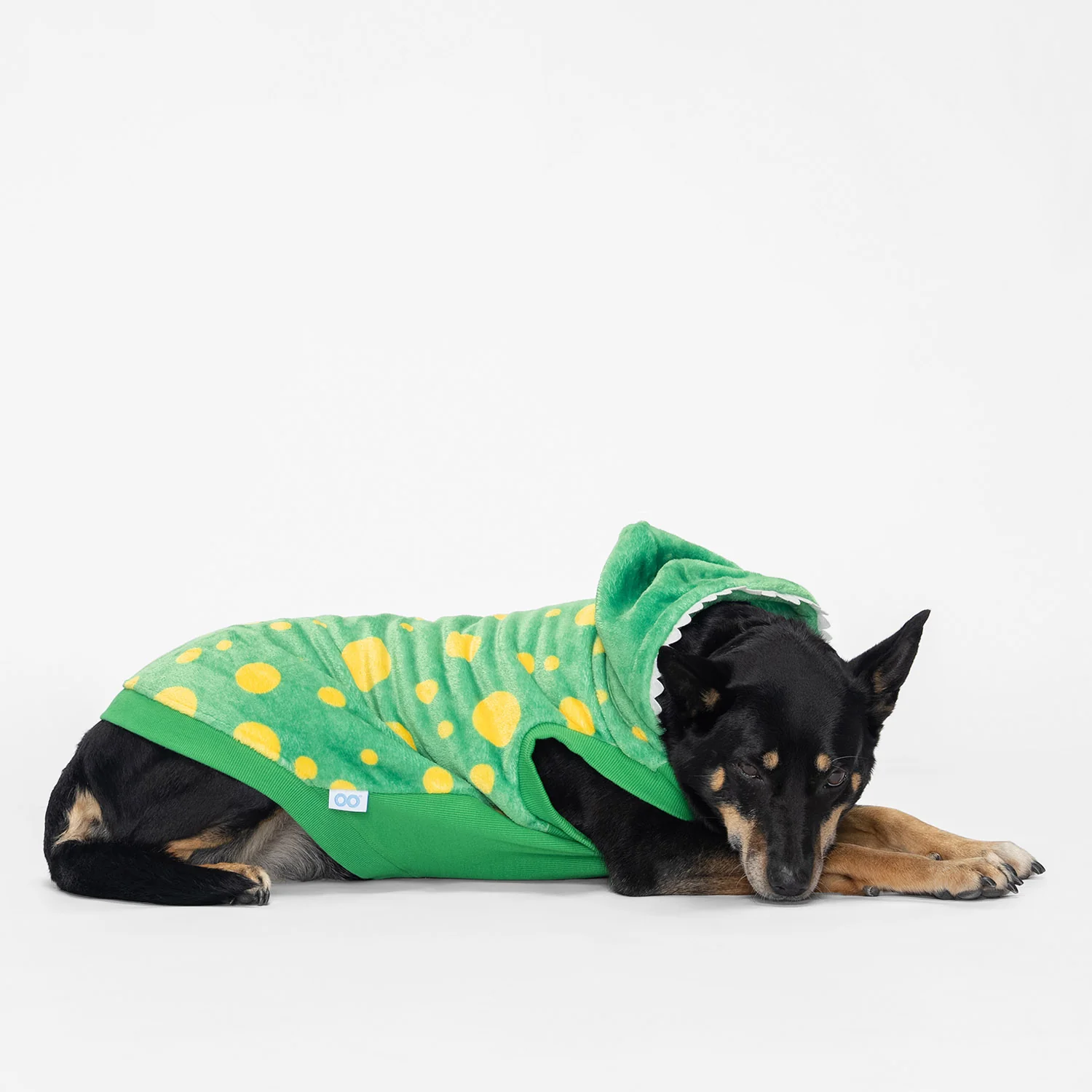50-wiggles-5.webp Wiggles