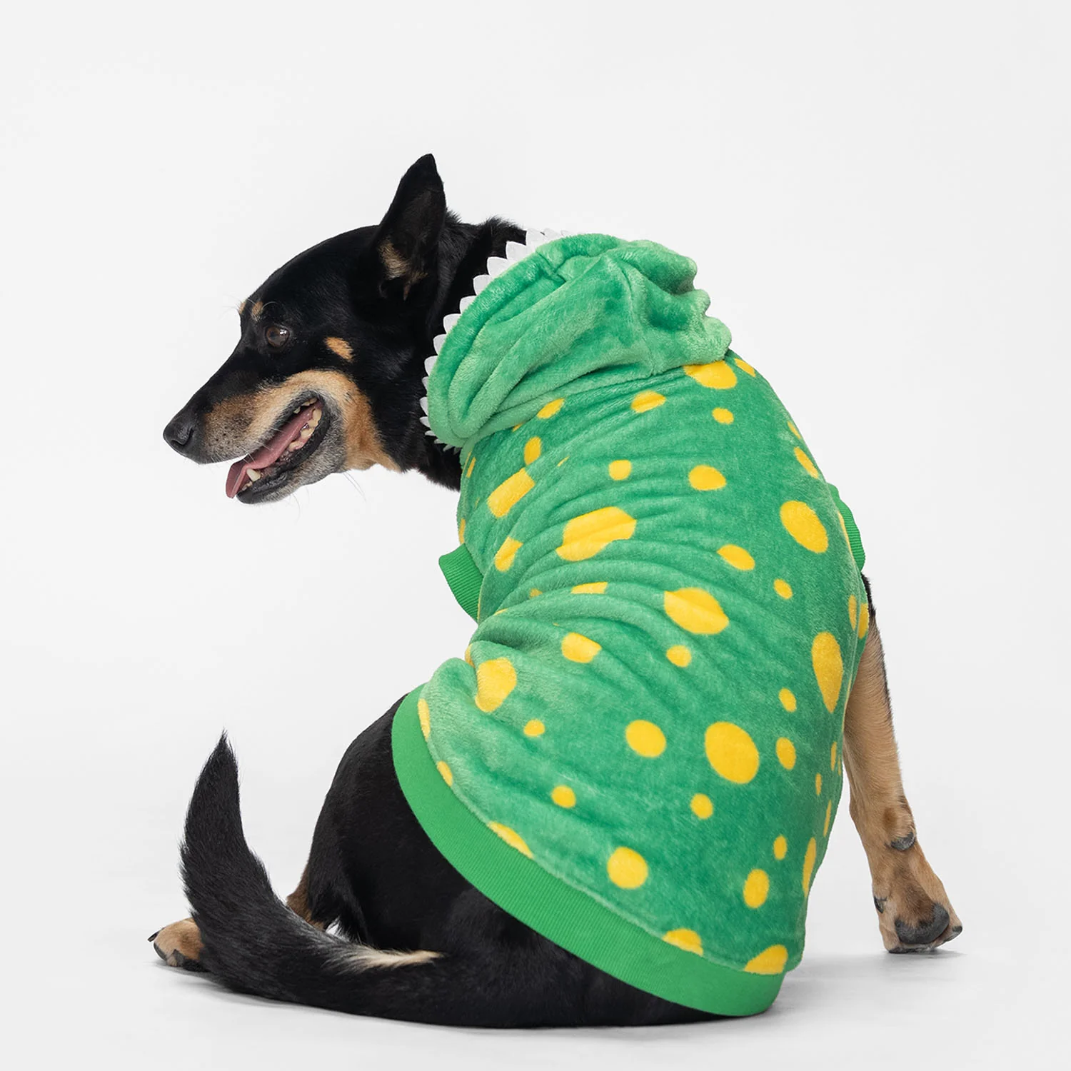 50-wiggles-6.webp Wiggles