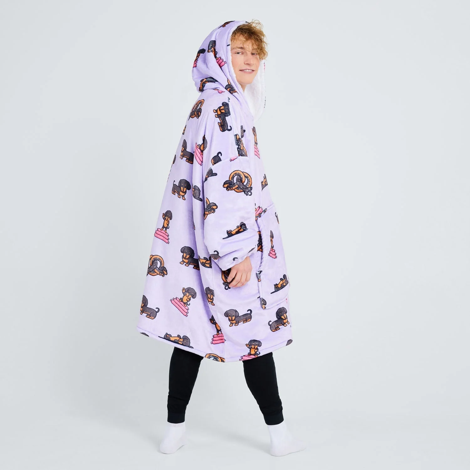500-dachshund-10.webp Dachshund