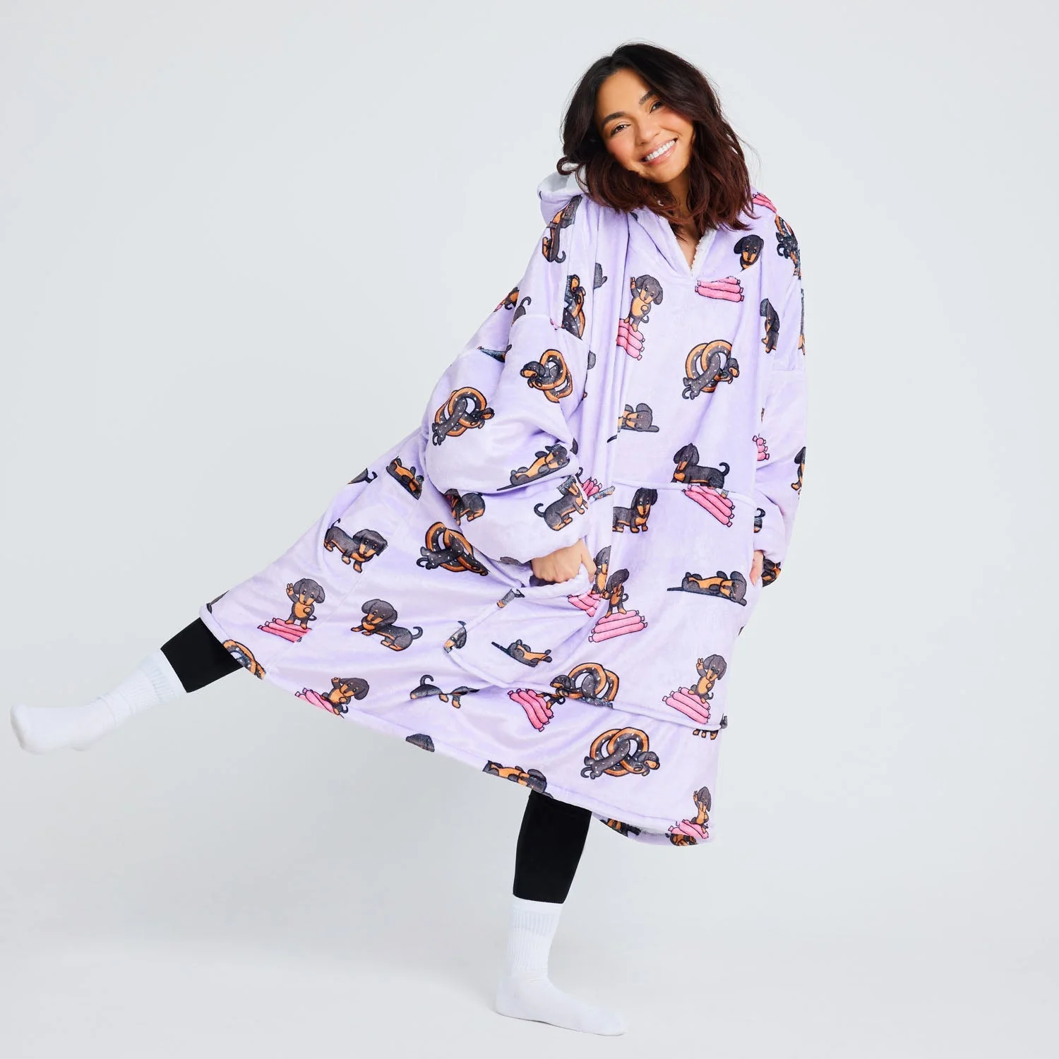 500-dachshund-2.webp Dachshund