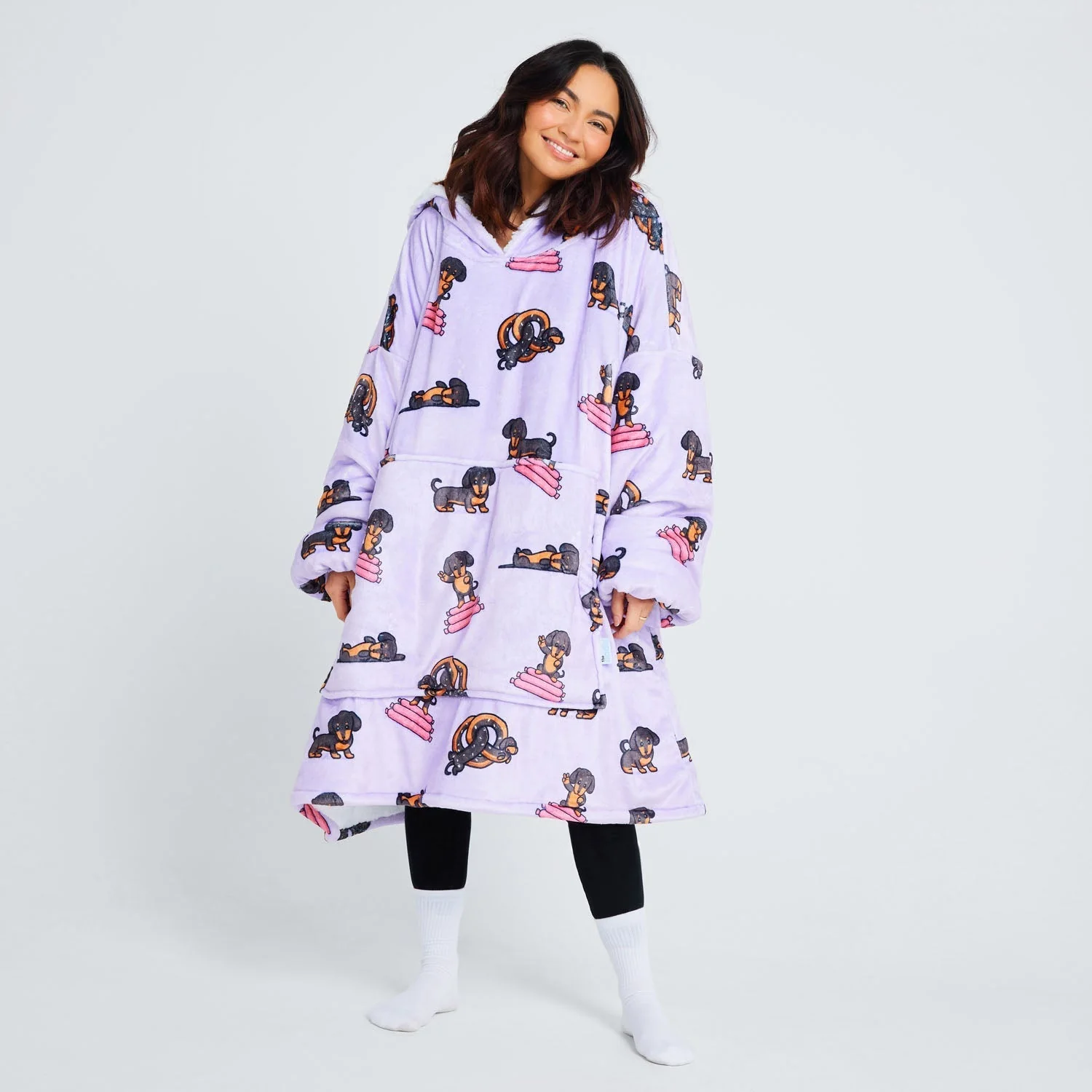 500-dachshund-3.webp Dachshund