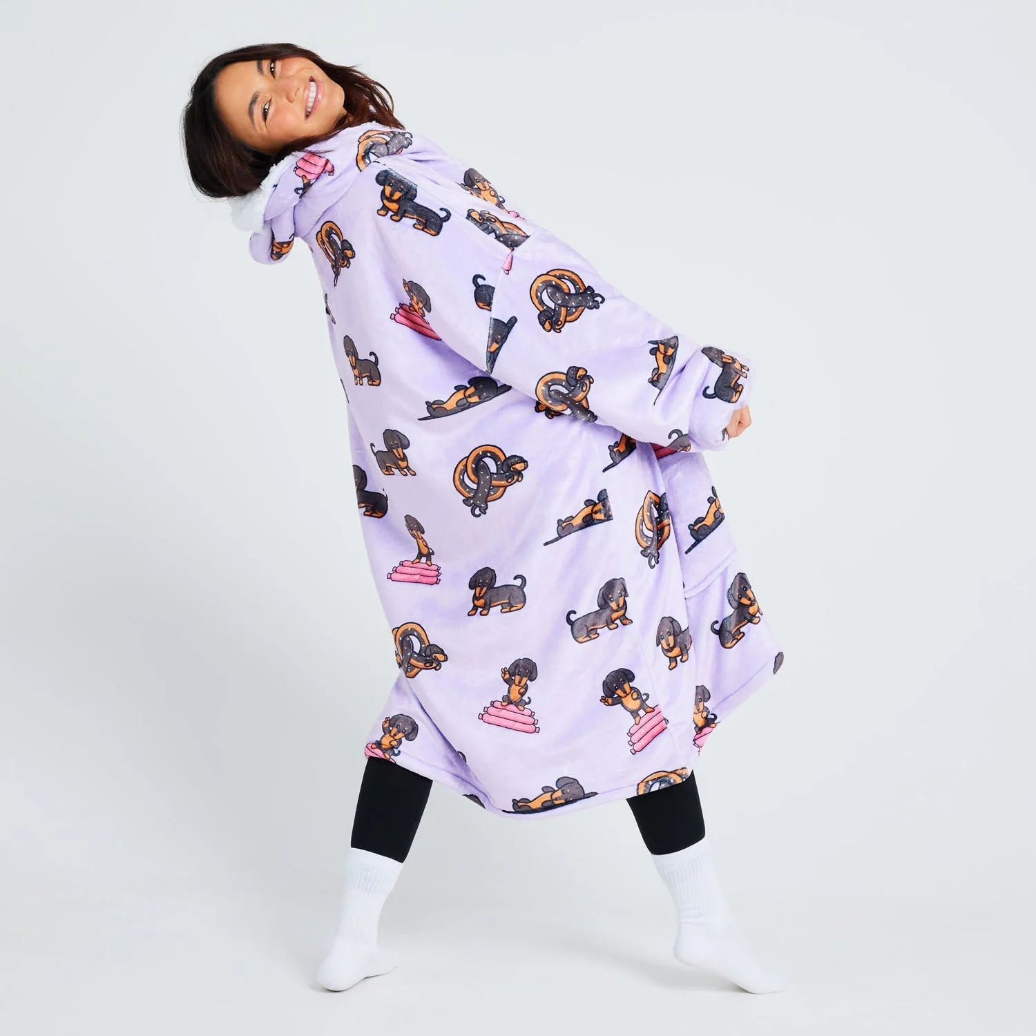 500-dachshund-9.webp Dachshund