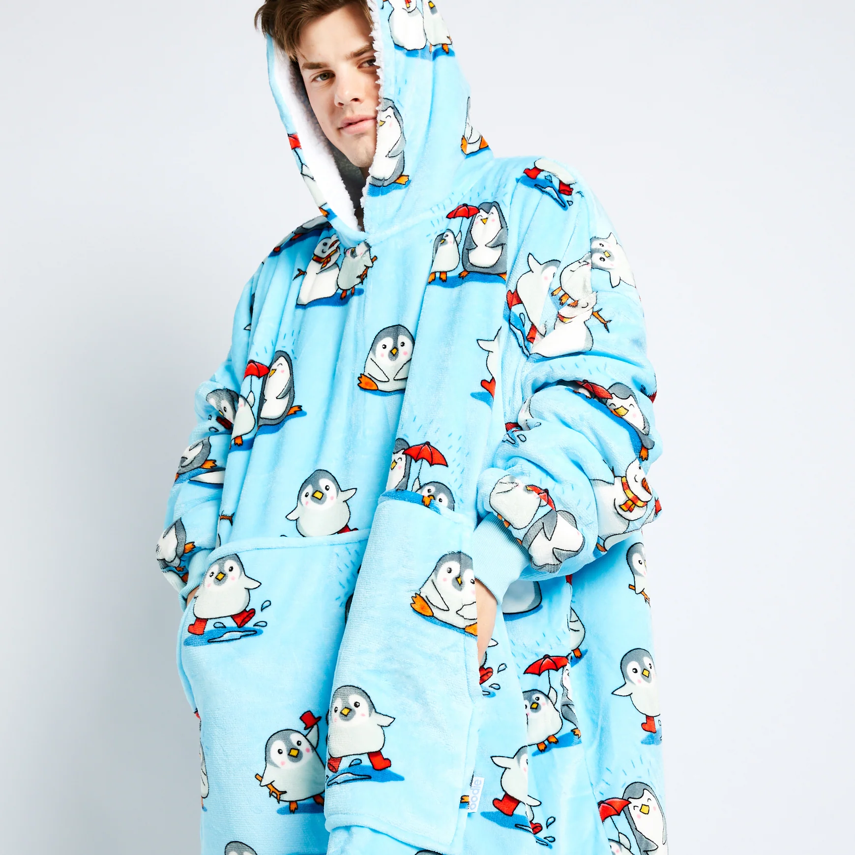 745-penguin-1.webp Penguin